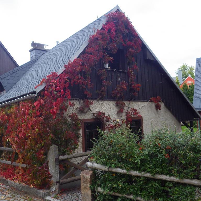 Altenberg Ferienhaus Frieda מראה חיצוני תמונה