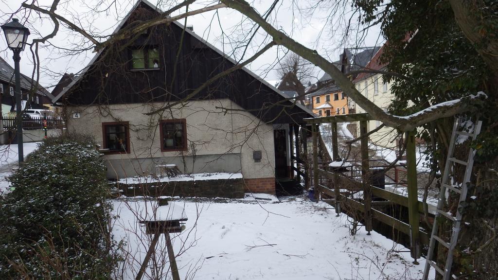 Altenberg Ferienhaus Frieda מראה חיצוני תמונה