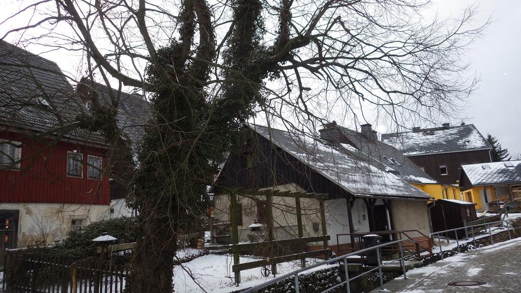 Altenberg Ferienhaus Frieda מראה חיצוני תמונה